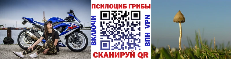 Галлюциногенные грибы Magic Shrooms  цена наркотик  Заводоуковск 